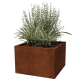 Plantekasser Plantekasser
