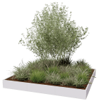 Store plantekasser