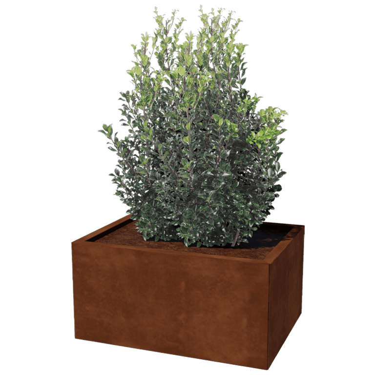 Plantekasse af cortenstål Texas 60 x 80 cm