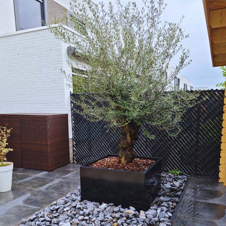 Plantekasse af pulverlakeret stål Miami 100 x 100 cm