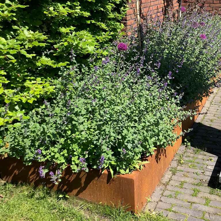 Støttemur af cortenstål lige 100 cm (højde 50 cm)