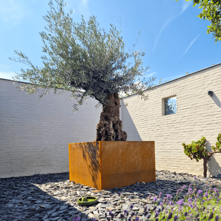Svejst plantekasse Corten-stål Montana 100 x 100 x 80 cm