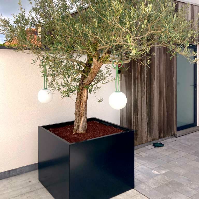 Plantekasse af pulverlakeret stål Miami 100 x 100 cm