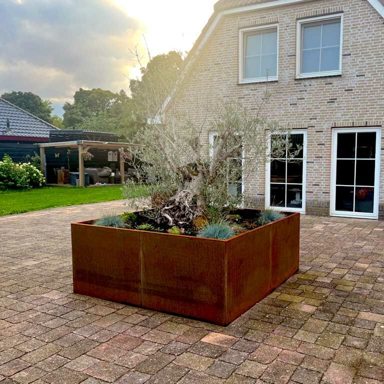 Plantekasse af cortenstål Miami xxl 240 x 240 cm