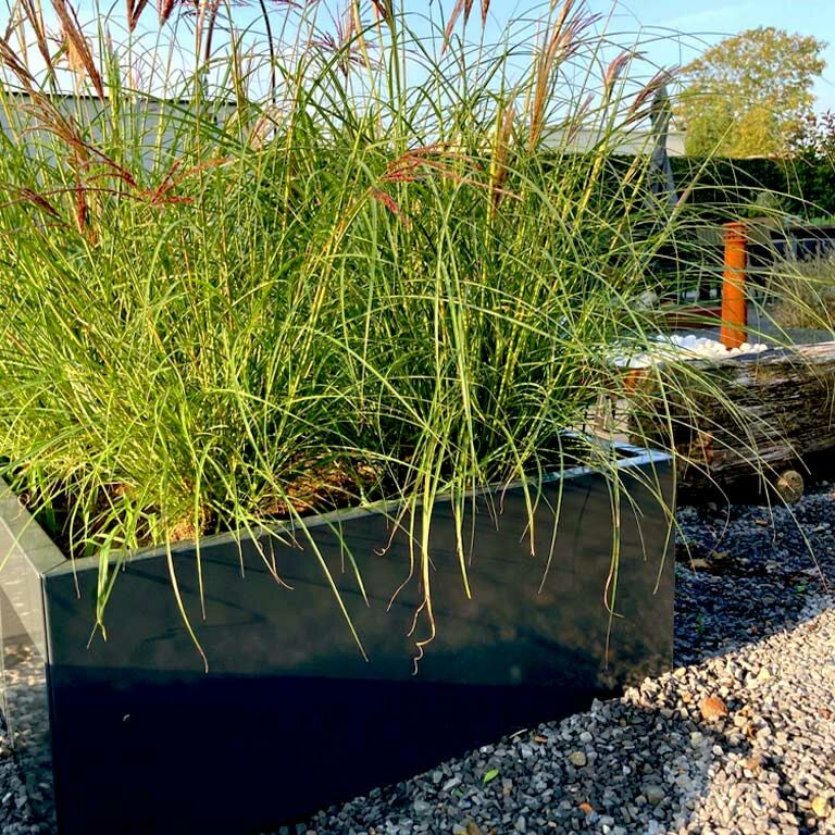 Plantekasse af pulverlakeret stål Texas 60 x 100 cm