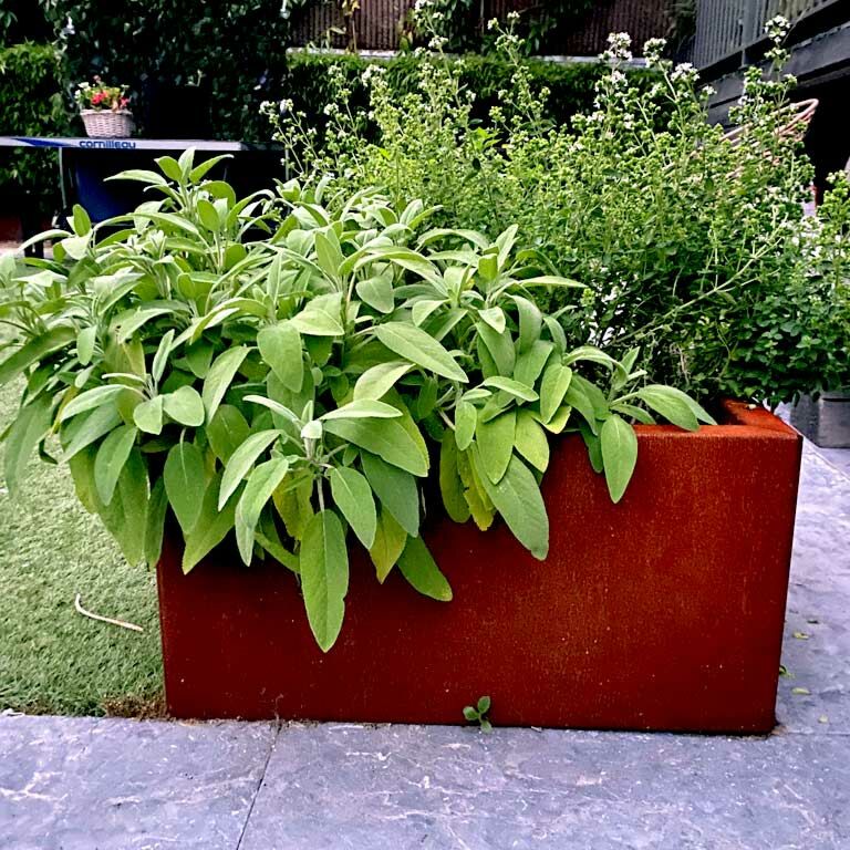 Plantekasse af cortenstål Texas 50 x 60 cm