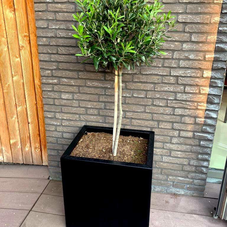 Plantekasse af pulverlakeret stål Texas 30 x 40 cm