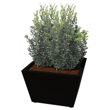 Stål plantekasse - Kegle - 80 x 80 x 51,5 cm - Svejset - Andre RAL-farve - Med bundplade