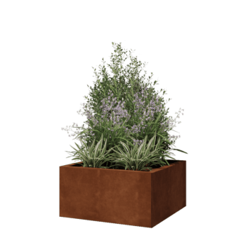 Cortenstål plantekasse - Firkant - 60 x 60 x 30 cm - Uden bundplade