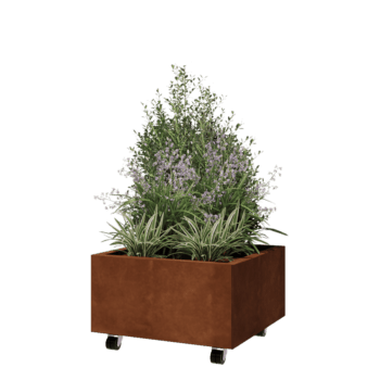 Cortenstål plantekasse - Firkant - 60 x 60 x 30 cm - Med bundplade - Met hjul