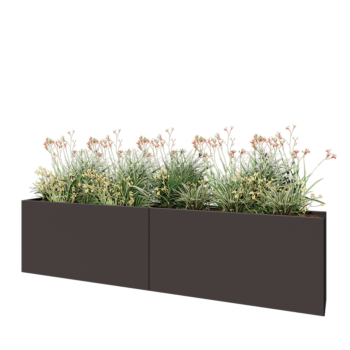 Stål plantekasse XXL - Rektangel - 240 x 30 x 60 cm - RAL7016 mat (antracitgrå) - Uden bundplade