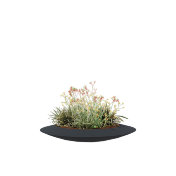 Plantekasse i glasfiber - Skål - Ø 120 x 20 cm - RAL7021 mat (sortgrå) - Med bund