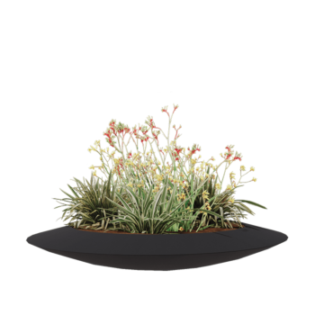 Plantekasse i glasfiber - Skål - Ø 120 x 20 cm - RAL7021 mat (sortgrå) - Med bund