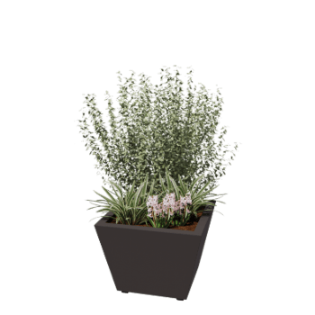 Stål plantekasse - Kegle - 60 x 60 x 41,5 cm - Svejset - RAL7016 mat (antracitgrå) - Med bundplade