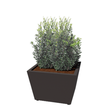 Stål plantekasse - Kegle - 80 x 80 x 51,5 cm - Svejset - RAL7016 mat (antracitgrå) - Med bundplade