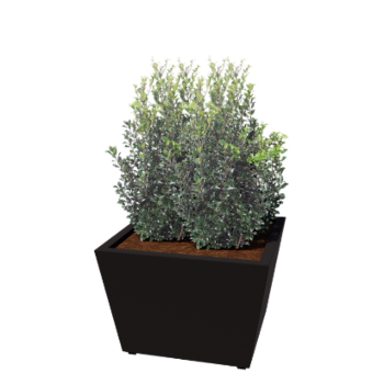 Stål plantekasse - Kegle - 80 x 80 x 51,5 cm - Svejset - RAL9005 mat (sort) - Med bundplade