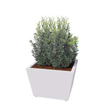 Stål plantekasse - Kegle - 80 x 80 x 51,5 cm - Svejset - RAL9010 mat (hvid) - Med bundplade