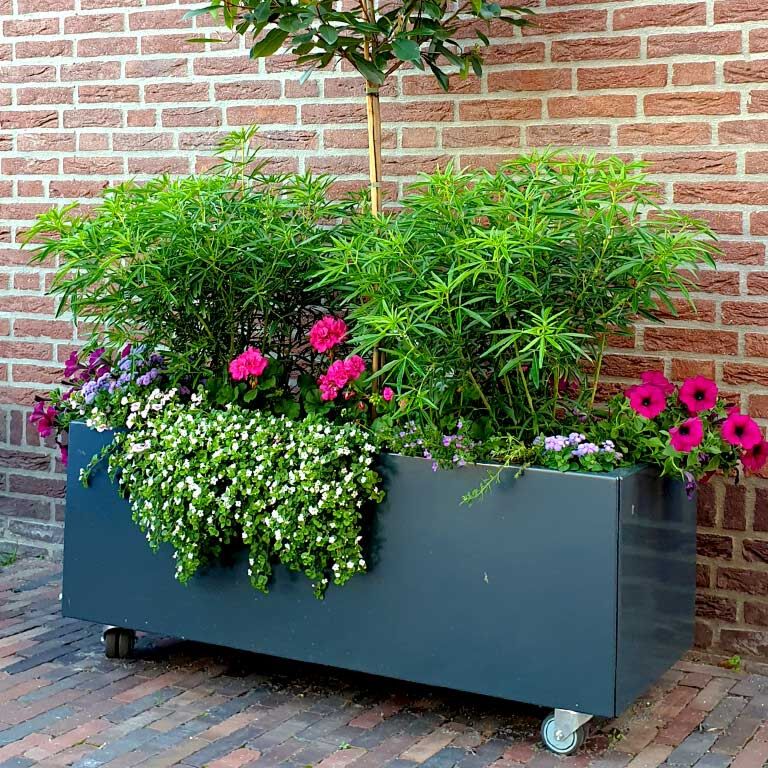 Plantekasse af pulverlakeret stål Texas 50 x 120 cm