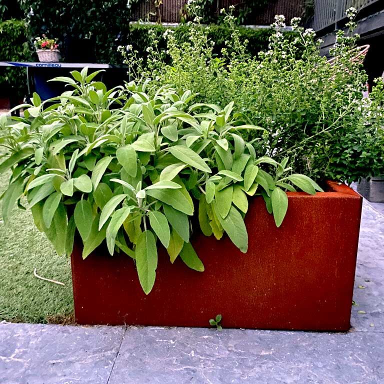 Plantekasse af cortenstål Texas 50 x 60 cm