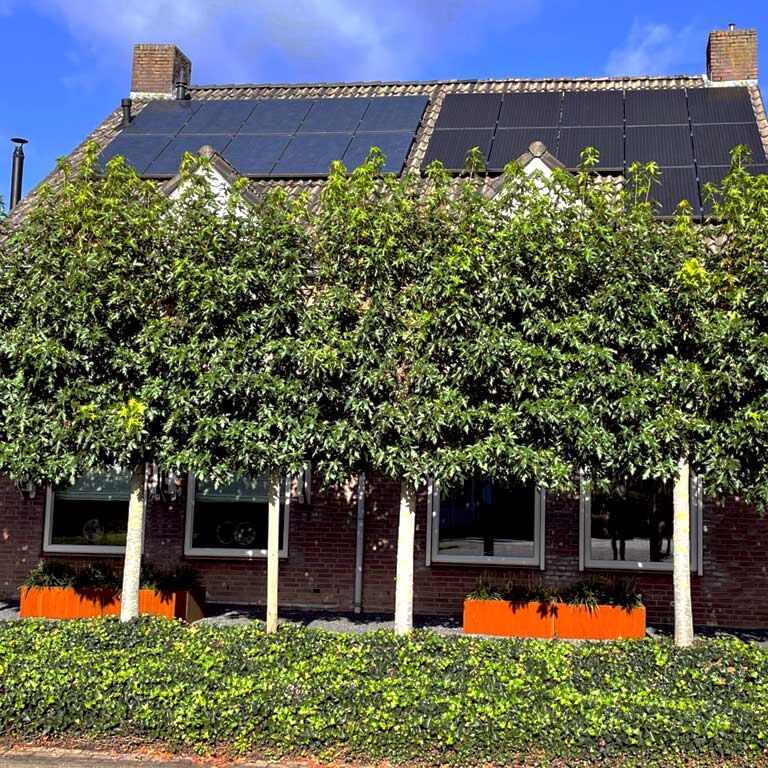 Plantekasse af cortenstål Texas xxl 200 x 60 cm