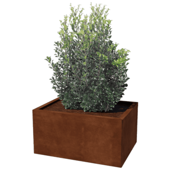 Plantekasse af cortenstål Texas 60 x 80 cm