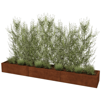 Plantekasse af cortenstål Texas xxl 300 x 50 cm