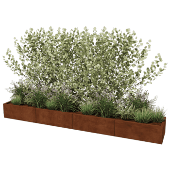 Plantekasse af cortenstål Texas xxl 320 x 50 cm