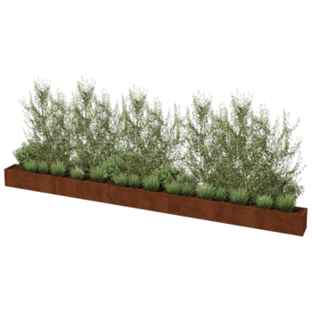 Plantekasse af cortenstål Texas xxl 500 x 30 cm