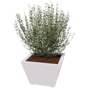 Svejst plantekasse pulverlakeret stål Kegle 60 x 60 x 40 cm