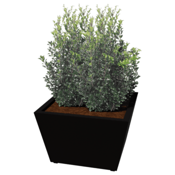 Svejst plantekasse pulverlakeret stål Kegle 80 x 80 x 50 cm