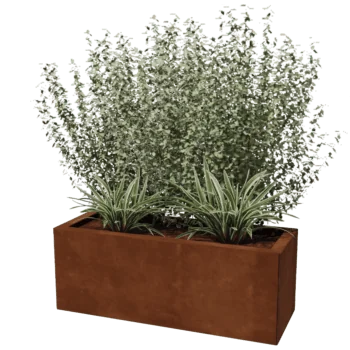 Cortenstål plantekasse - Rektangel - 30 x 80 cm