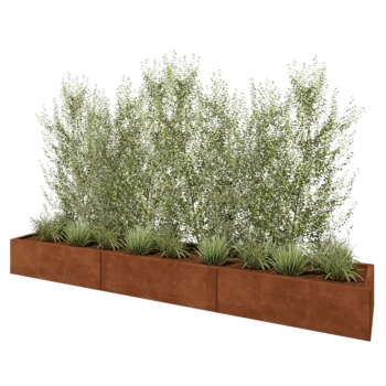 Cortenstål plantekasse XXL - Rektangel - 300 x 50 x 30 cm - Uden bundplade