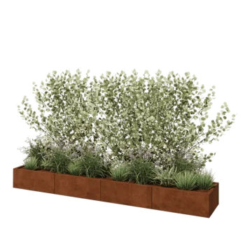 Cortenstål plantekasse XXL - Rektangel - 320 x 50 x 30 cm - Uden bundplade