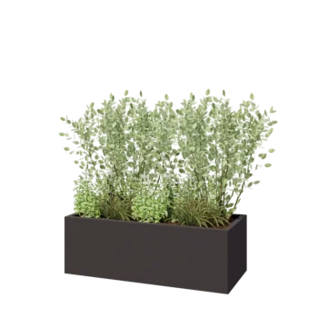 Stål plantekasse - Rektangel - 120 x 50 x 40 cm - RAL7016 mat (antracitgrå) - Med bundplade
