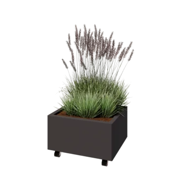 Stål plantekasse - Rektangel - 60 x 50 x 30 cm - RAL7016 mat (antracitgrå) - Med bundplade - Met hjul