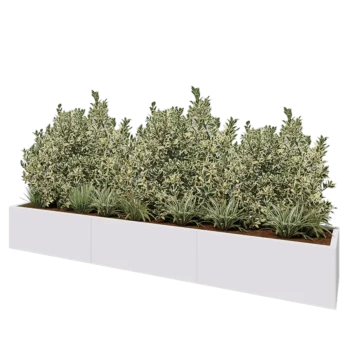 Stål plantekasse XXL - Rektangel - 300 x 50 x 40 cm - RAL9010 mat (hvid) - Uden bundplade