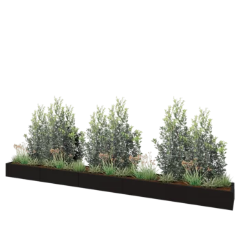 Stål plantekasse XXL - Rektangel - 500 x 50 x 30 cm - RAL9005 mat (sort) - Uden bundplade
