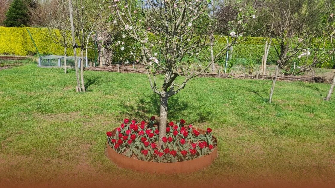 Hvordan laver man en kant rundt om et træ?